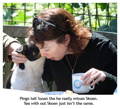 Pingo and Susan